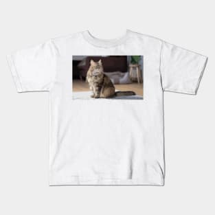 Maine Coon Cat Digital Painting Kids T-Shirt